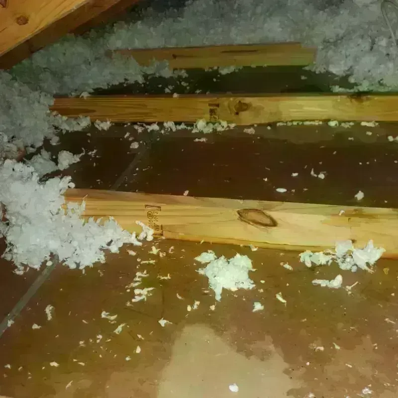 Attic Water Damage in Hoschton, GA